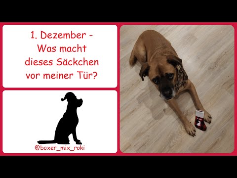 Rokis Adventskalender: 1.  Dezember - Was macht dieses Säckchen vor meiner Tür?