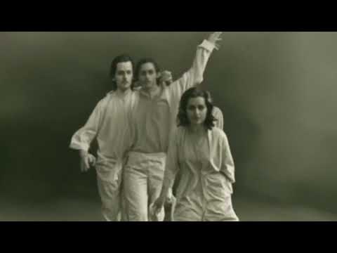 O Mistério Sombrio da Rua do Arvoredo