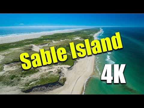 Se você vier a Ilha de Sable, talvez nao queira ir embora