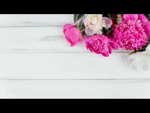White screen||Texture background with flowers|No copyright video|Taqwa official||4k HD video|