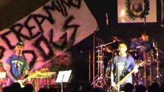 Screaming Dogs - Teenage Freakshow (Screeching Weasel cover)