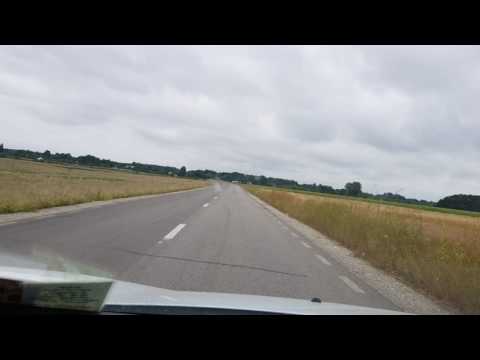 Pădurea Slăvesti 16 iulie 2017 -Teleorman