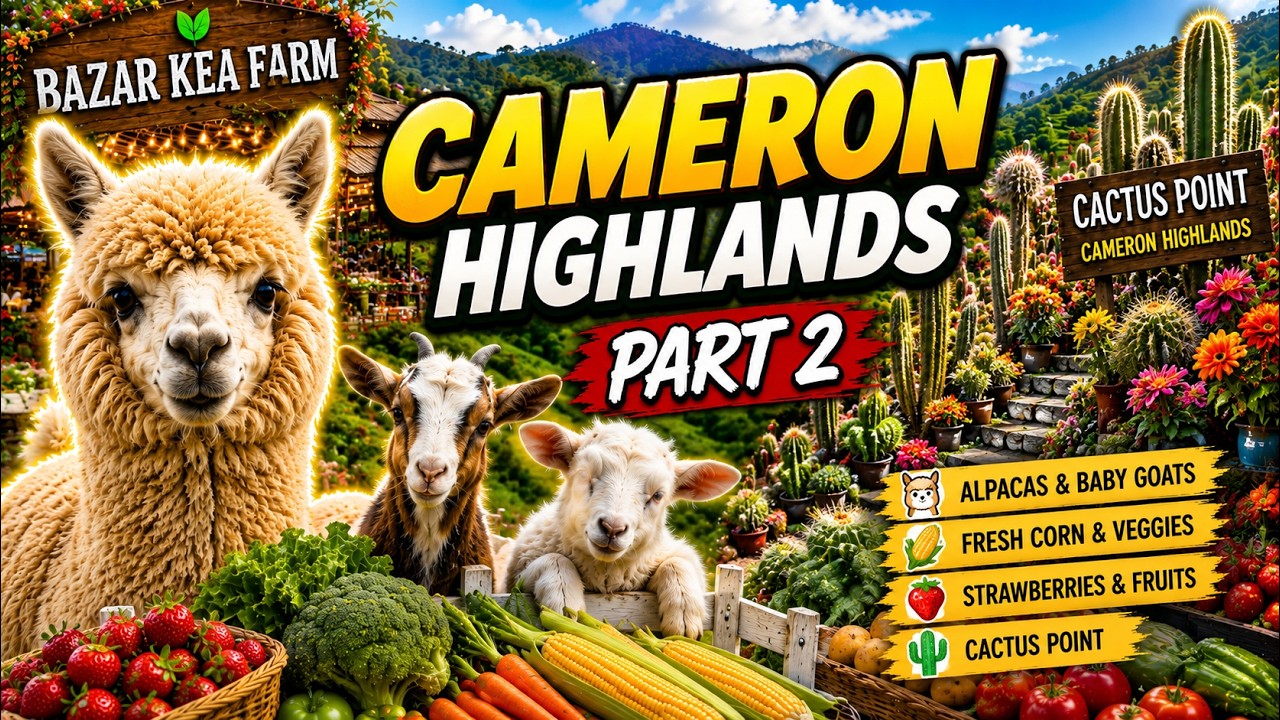 CAMERON HIGHLANDS PART2 4K 🇲🇾| Bazar Kea Farm| Cactus Point