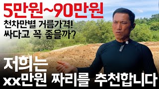 거름(퇴비)에도 급이 있다? 종류별 가격 및 전략 대공개! (조경수 재테크 초보를 위한 비료 컨설팅)