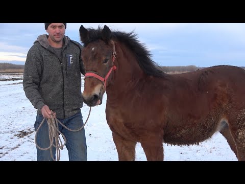 Manza lui Andrei si Vali de la Satu Mare, Bucovina - 2022 Nou!!!