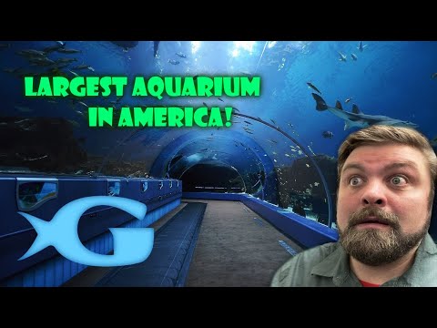 America’s LARGEST AQUARIUM! | Georgia Aquarium