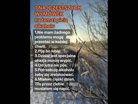 7 Najczęstszych Wymówek Na Temat Picia Alkoholu