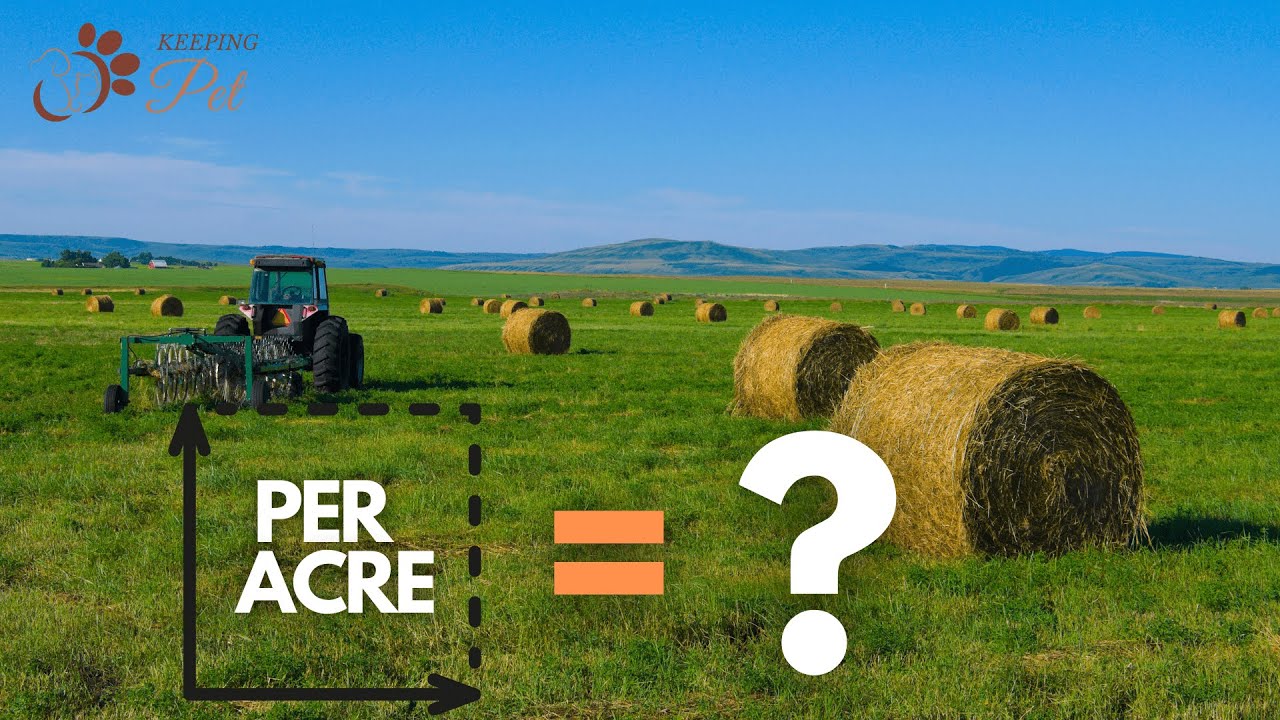 How many round bales can you get out of one hectare of land?