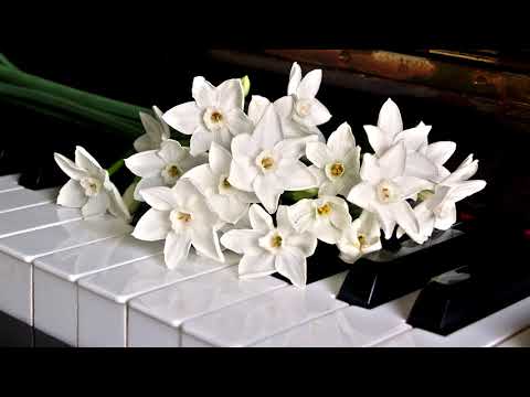 Hugo Sellerberg - 1 hour of piano music (no ads)