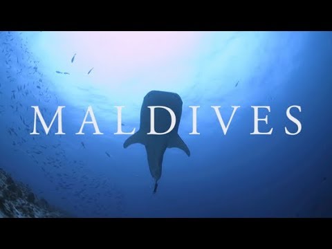 Introducing the New Maldives Aggressor II Video facade placeholder