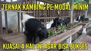 Download lagu Ternak Kambing Etawa Modal Minim Itu Bisa | Kuasai 4 Hal ini Agar Sukses Ternak Kambing mp3 Download lagu Ternak Kambing Etawa Modal Minim Itu Bisa | Kuasai 4 Hal ini Agar Sukses Ternak Kambing mp3