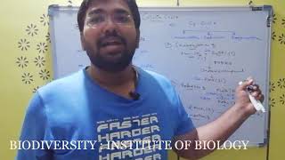 Calvin Cycle or Biosynthesis phase