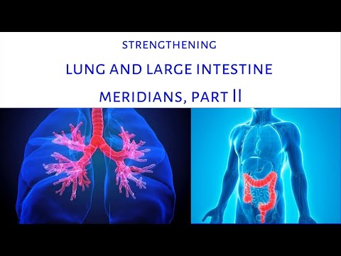 Strengthening Lung and Large Intestine Meridians Part II with Grace G Hom, Light Body Wisdom Ep 109