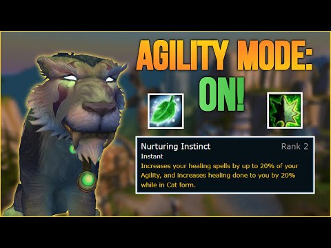Agility Feral Cat 🐈 - Feral Druid PvP WotLK Classic / Warmane 2022