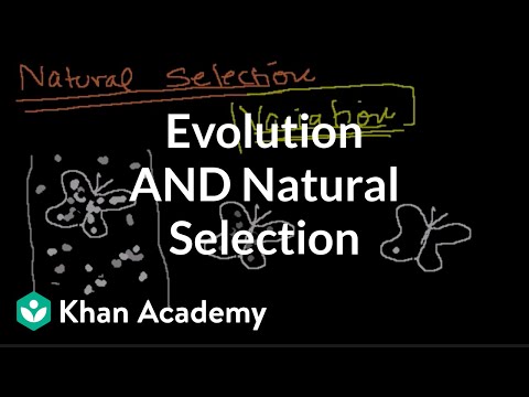 Introduction to Evolution, Variation in a Population and Natural Selection 