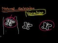 Introduction to Evolution, Variation in a Population and Natural Selection Video Tutorial