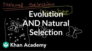 Introduction to Evolution and Natural Selection