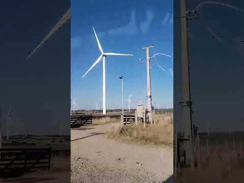 Ruta a Tarariras Colonia Uruguay #tarariras #ColoniaUruguay #uruguay #viajandoporelmundo  #shorts