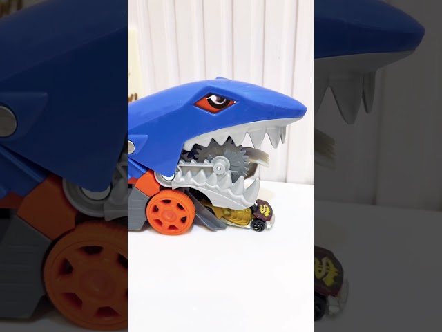 Vídeo relacionado con Hot Wheels Tiburón mastica Coches, Guarda y transporta hasta 5 Coches de Juguete Die-Casts (Mattel GVG36)