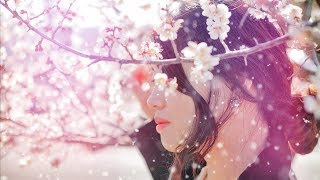 인물 사진 잘 찍는법 #1 앞보케로 분위기 있는 연출하기