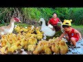 Wild Women - Mother and child Help baby Duck by river - cooking egg duck & fish for dog Delicious