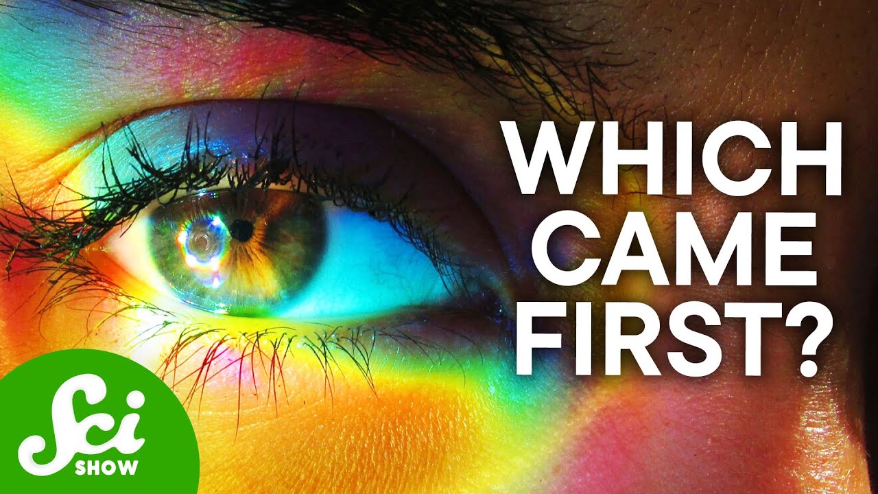 We Didn’t Evolve Color Vision to See Color