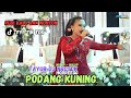 Tayub DJ Nrotok Podang Kuning Cakra Buana Campursari SPN Audio Live Punung