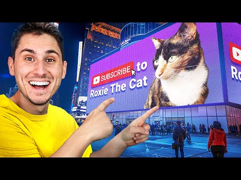 I Got My Cat a Times Square Billboard!