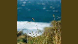 Runaway (feat. cøzybøy)