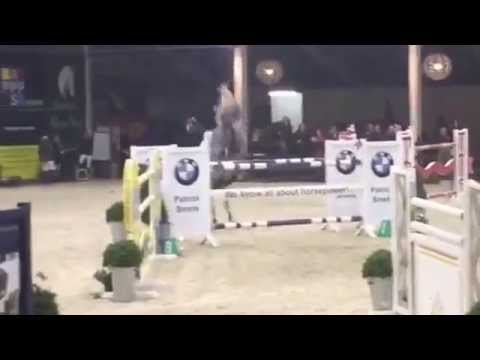 Gellah °2006 Cicero Z x Epsom Gesmeray