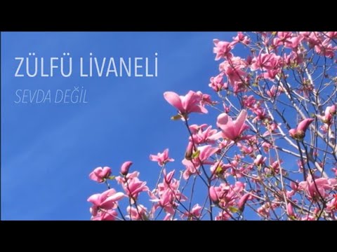 Zülfü Livaneli - Sevda Değil (Eğil Salkım Söğüt Eğil)