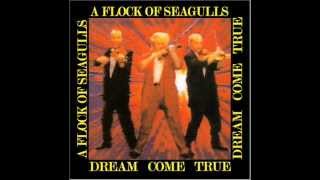 A Flock of Seagulls - (Cosmos) The Effect of the Sun