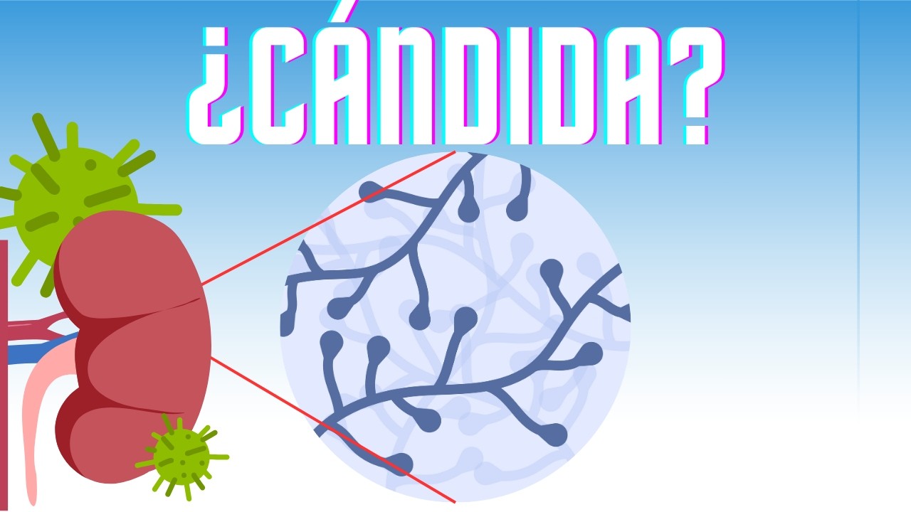 5 órganos que infecta la cándida y no lo sabías