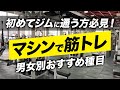 【初心者】男女別 初めてジムでトレーニングする時の おすすめマシン種目【ビーレジェンド プロテイン】