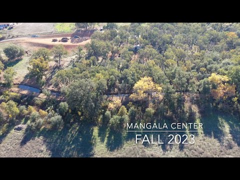 Fall 2023