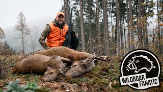 Drückjagd in Tschechien [#4] - Das Spitzberg Treiben (Hunt on Demand Free Episode)