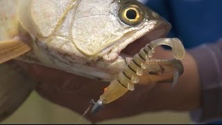 Shimano's The Truth About Fishing Series - Saratoga EP3