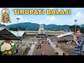 तिरुपति बालाजी | Tirupati Balaji Temple Darshan | Tirupati Balaji Tour Guide Vlog |Tirumala Ti