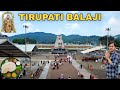 तिरुपति बालाजी Tirupati Balaji Temple Darshan Tirupati Balaji Tour Guide V