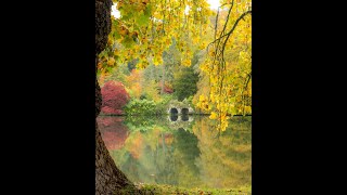 Meditation Monday – The Axiatonal Alignment and Cosmic Integration/Cosmic Alignment.