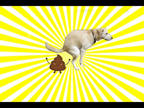 Kupa w polu karnym?!#01-SZYBKIE INFO