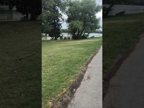 #rionegro #viedma #patagones #buenosaires #patagonia #argentina