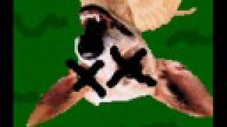 I Ran Over The Taco Bell Dog