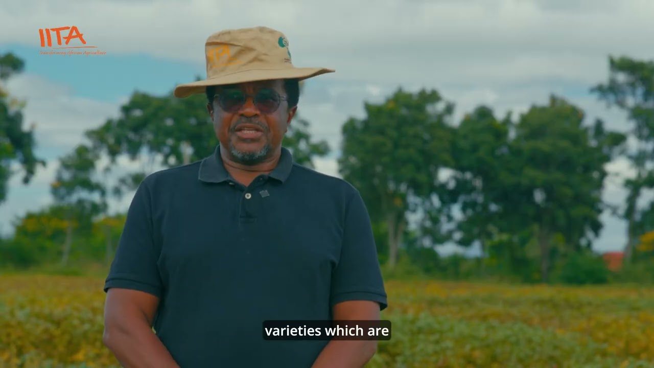 Malawi 2026 Soybean tour