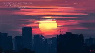 Free Animal - Foreign Air