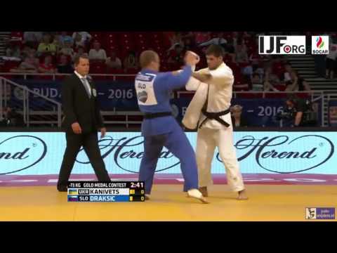 Judo 2016 Grand Prix Budapest: Kanivets (UKR) - Draksic (SLO) [-73kg] final