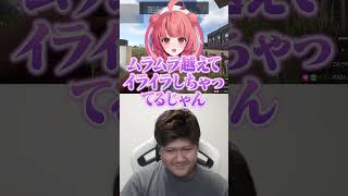 Zerostをイライラさせてしまうらっしゃー【VCR Rust/らっしゃー/Zerost/赤見かるび/あかりん/】