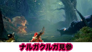 【MHWI】迅竜と火竜のケンカ！ Part.9【モンスターハンターワールドアイスボーン】
