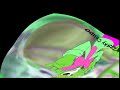 Cat Leopold Says Klasky Csupo Center Effects VideoMeld