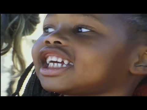 Teletubbies: Animals and Musicals